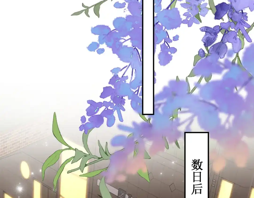 出狱后，真千金杀疯全豪门 第12话将计就计 第62页