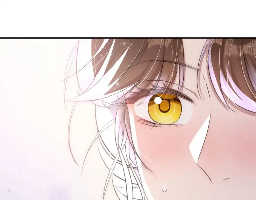 出狱后，真千金杀疯全豪门 第29话陷害 第73页