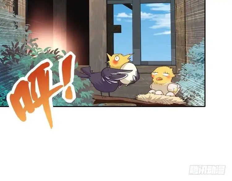 91.jpg