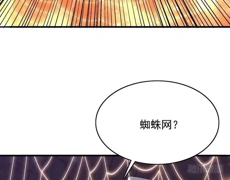 113.jpg