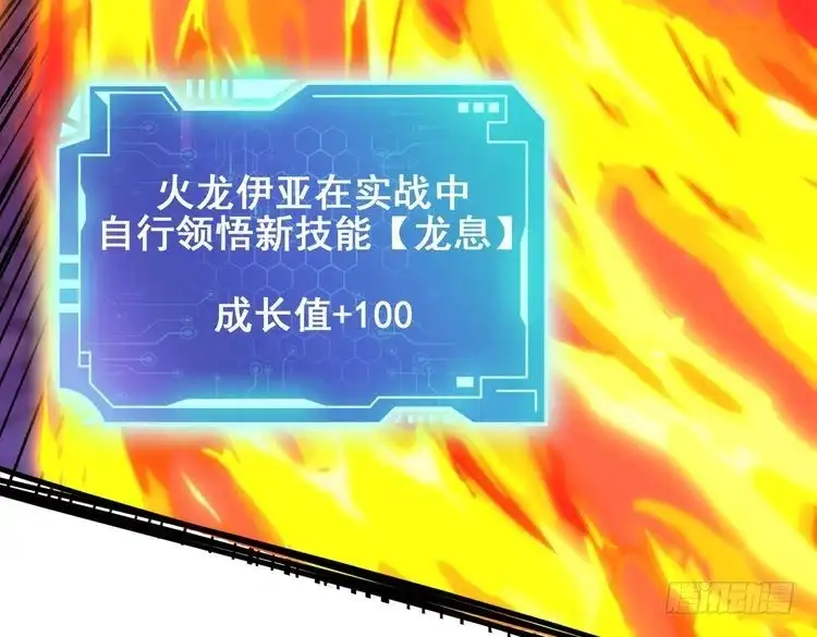 102.jpg