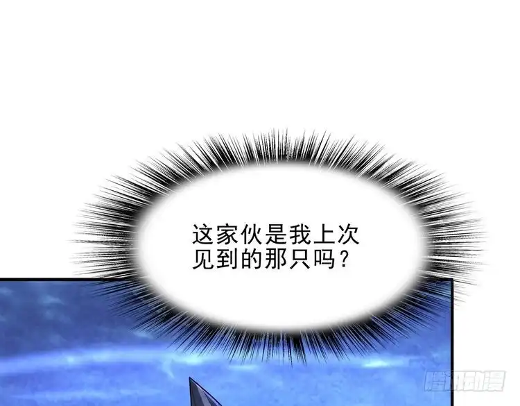 114.jpg