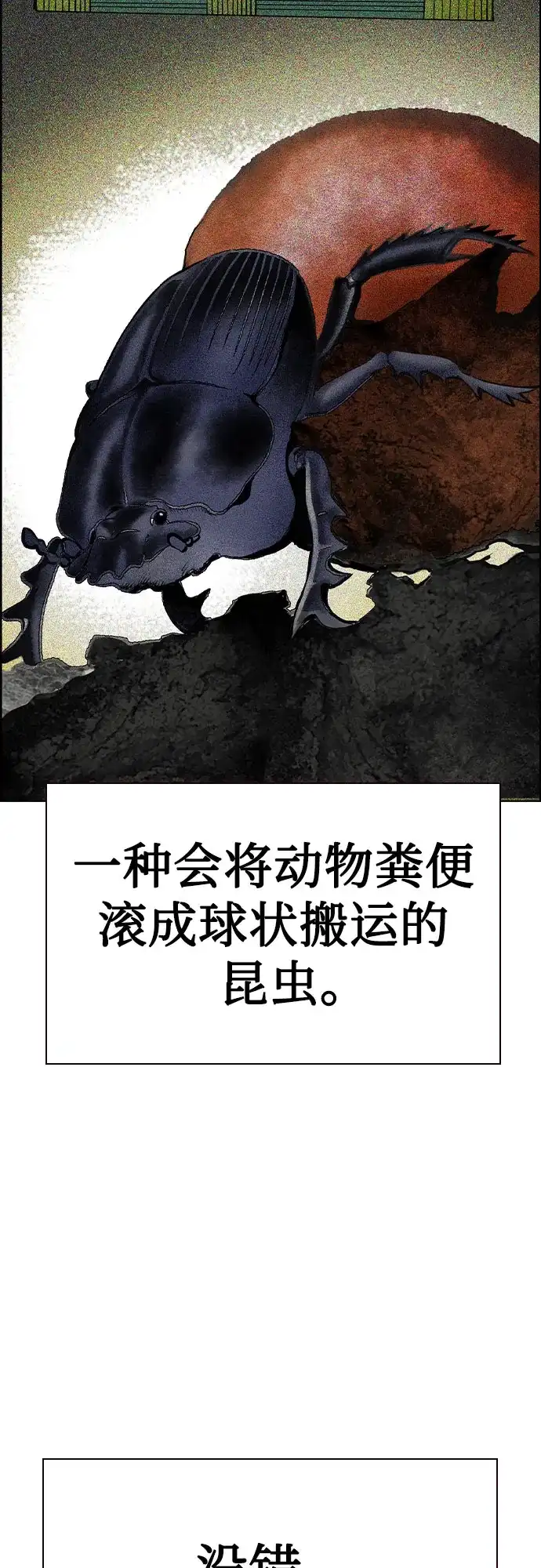 《丛林果汁》第3季 第41话 第10页