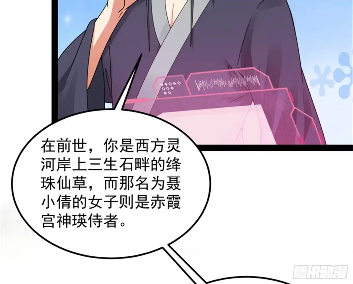 《打爆诸天》绛珠仙草和神瑛侍者 第61页