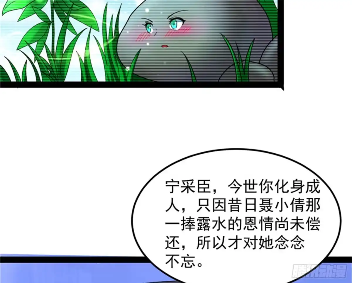《打爆诸天》绛珠仙草和神瑛侍者 第65页