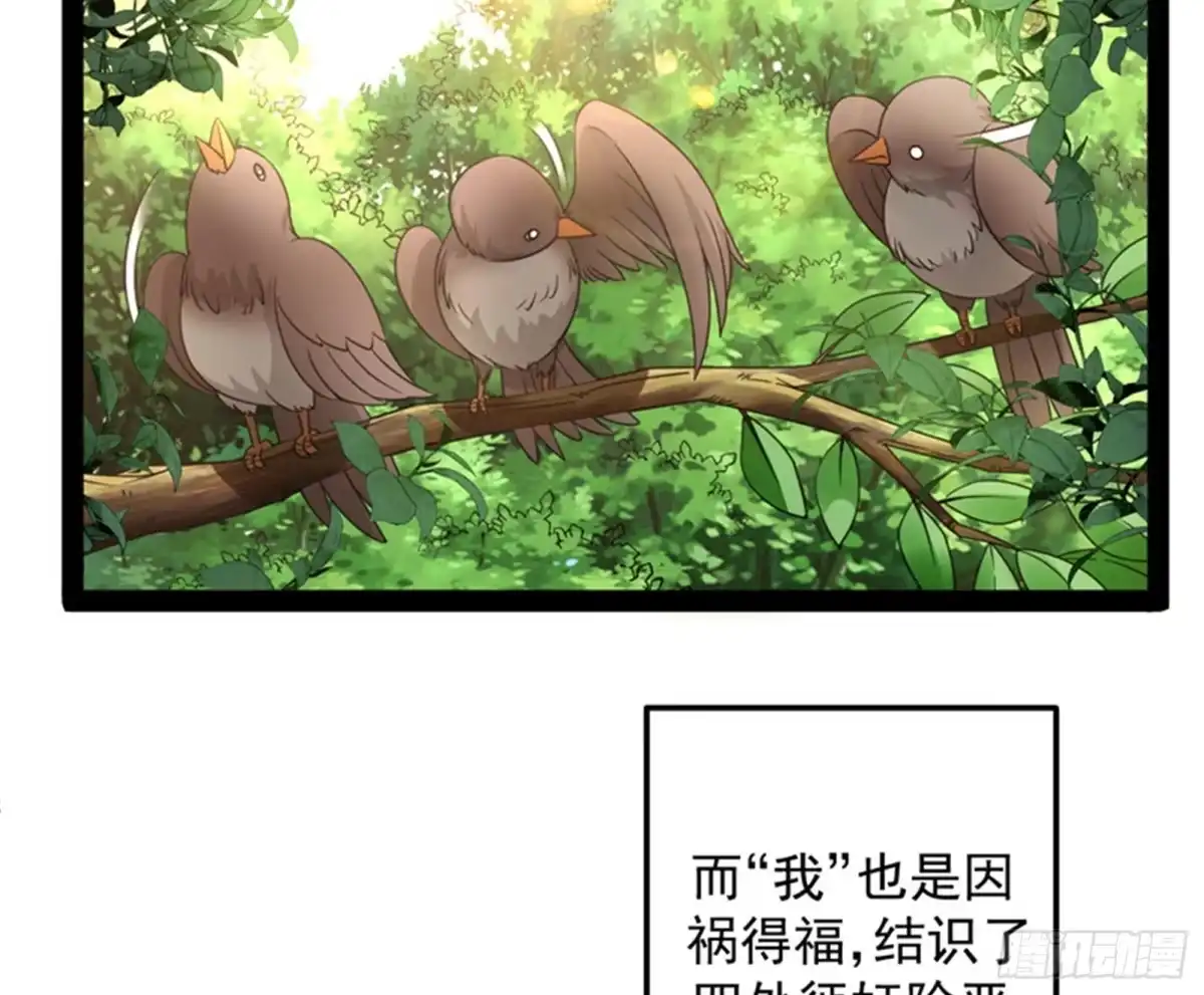 《打爆诸天》突破与人妻的赞赏 第13页