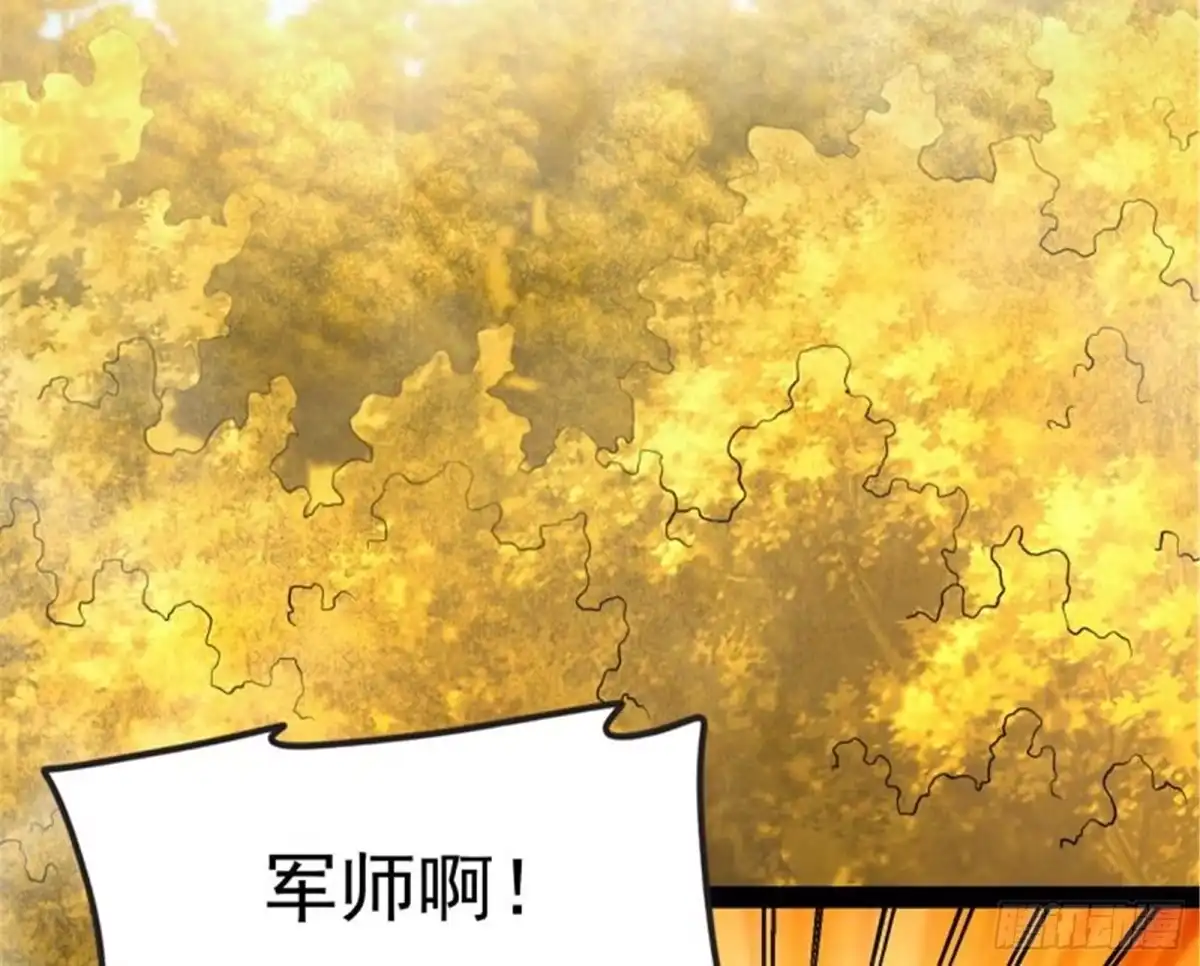 《打爆诸天》树妖！再见树妖！ 第135页