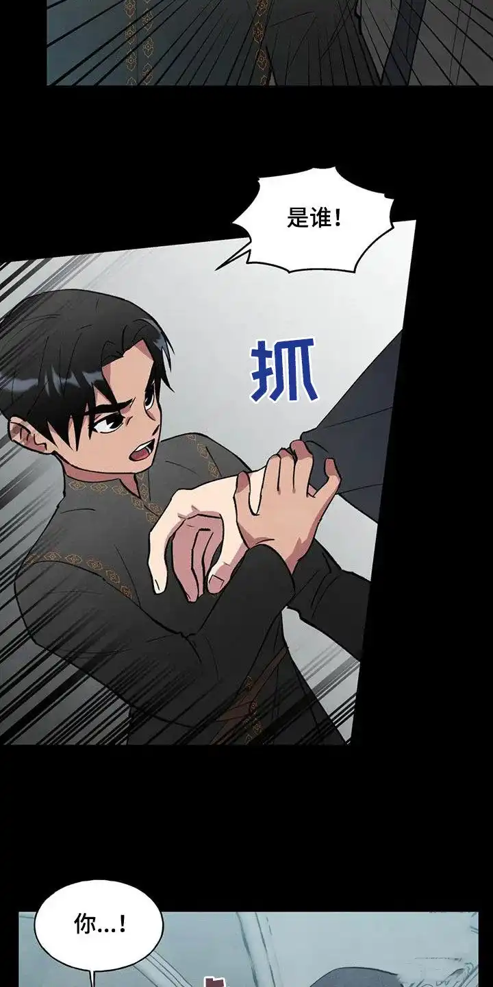 大公的秘密契约 第33话 第14页