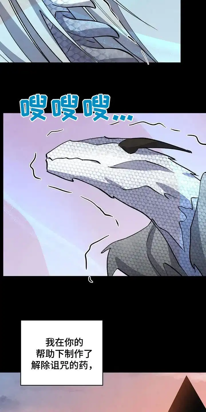 大公的秘密契约 第96话 第13页