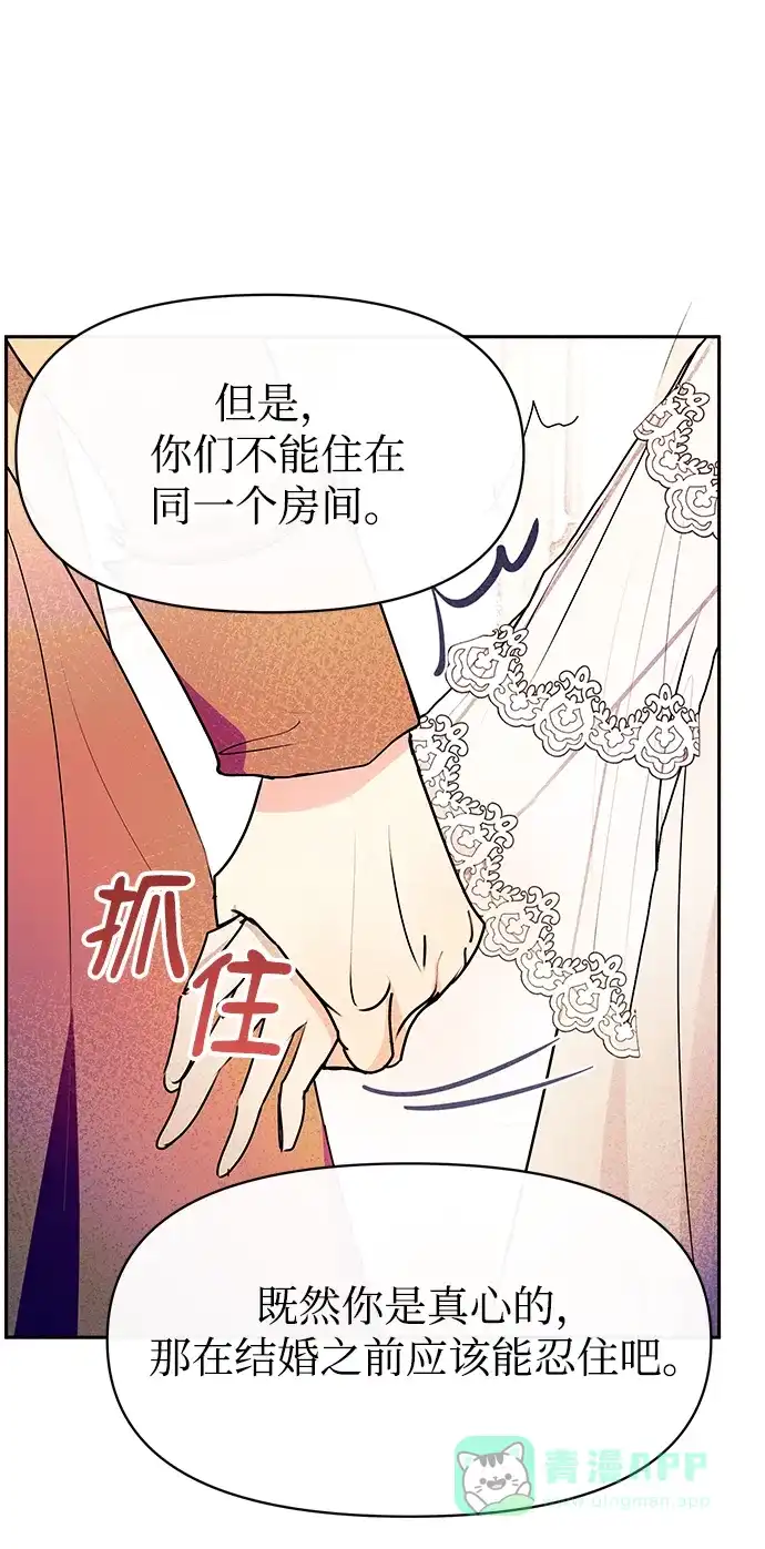 《大公殿下，这是个误会》第20话 第34页