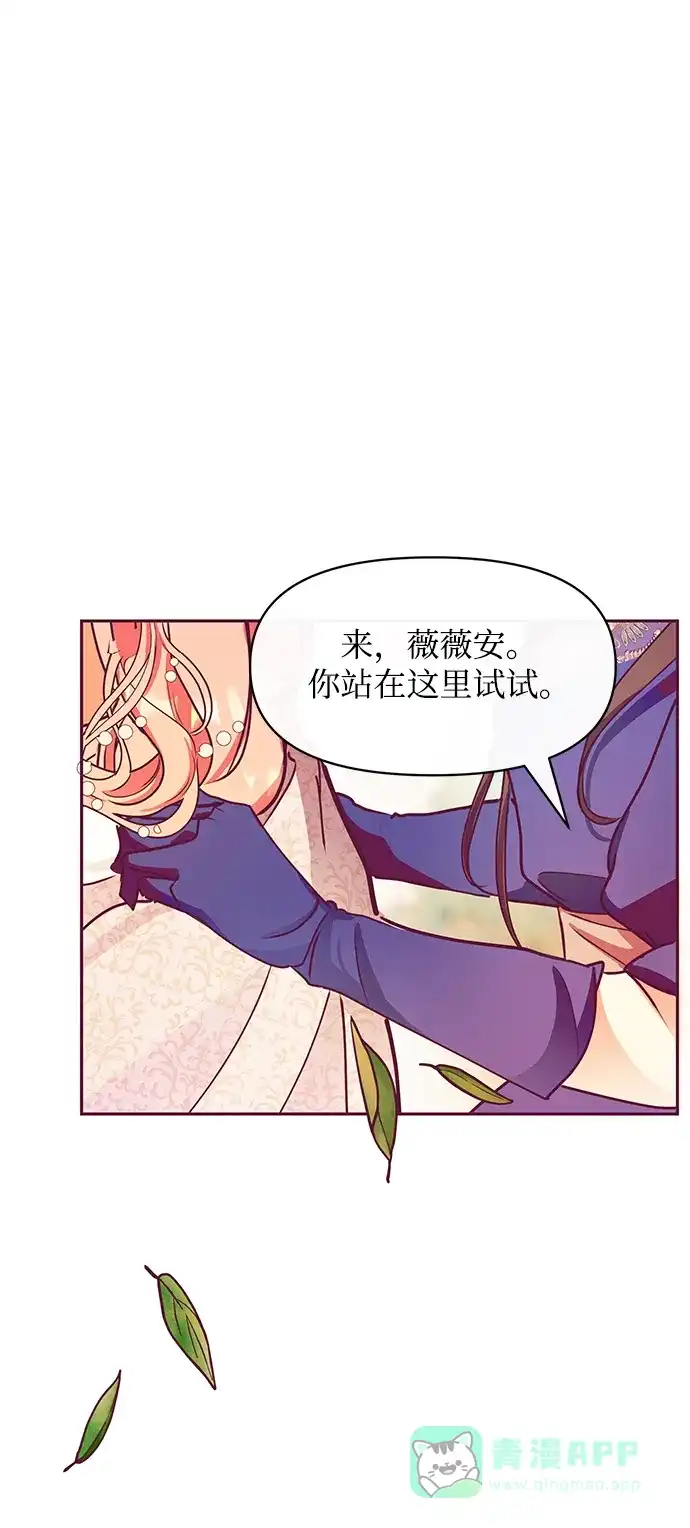 《大公殿下，这是个误会》第28话 第66页