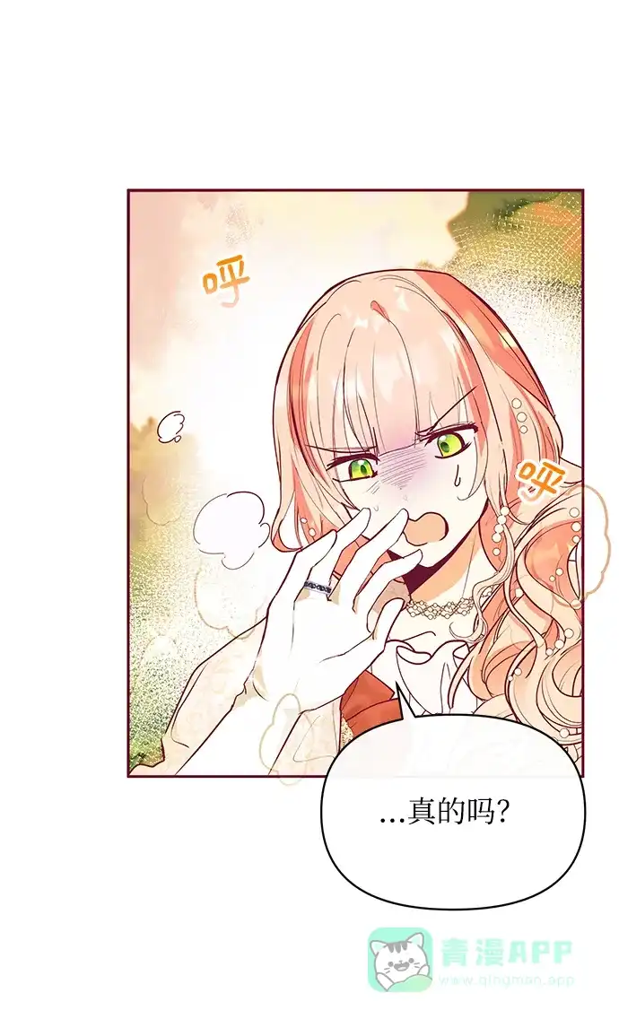 《大公殿下，这是个误会》第29话 第36页