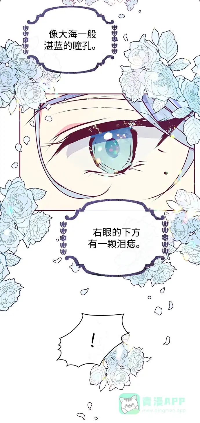 《大公殿下，这是个误会》第33话 第27页