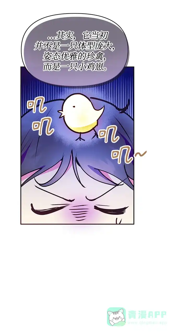 《大公殿下，这是个误会》第41话 第41页