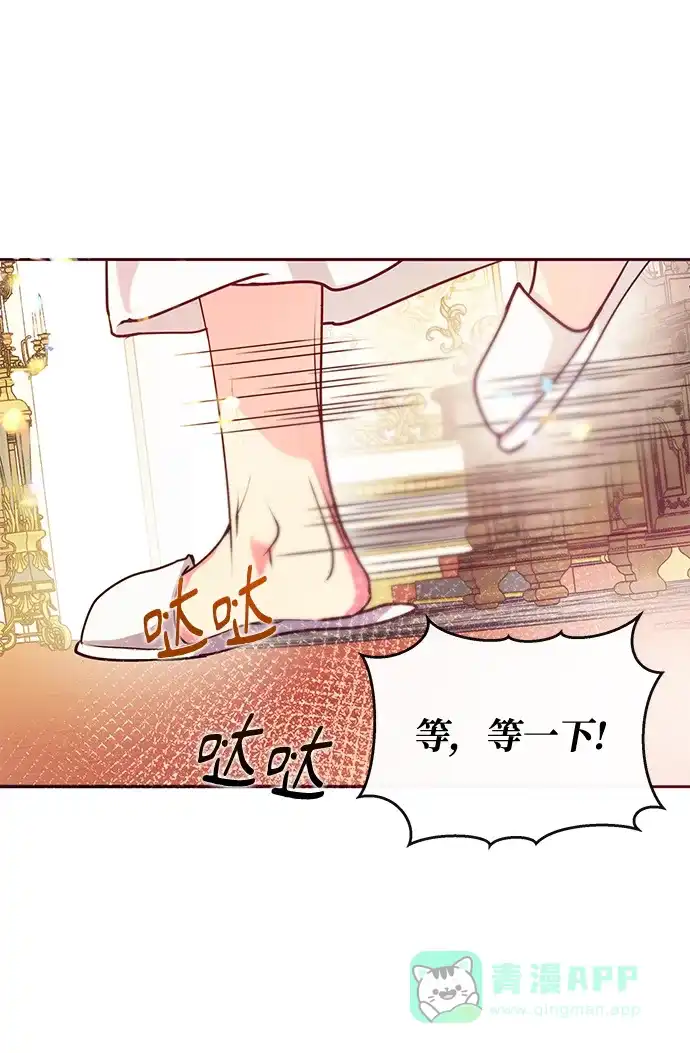 《大公殿下，这是个误会》第44话 第29页