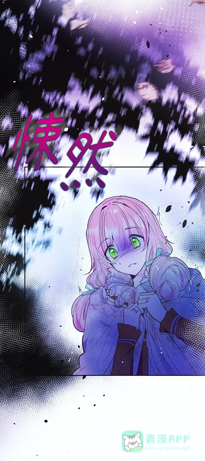 《大公殿下，这是个误会》第45话 第40页