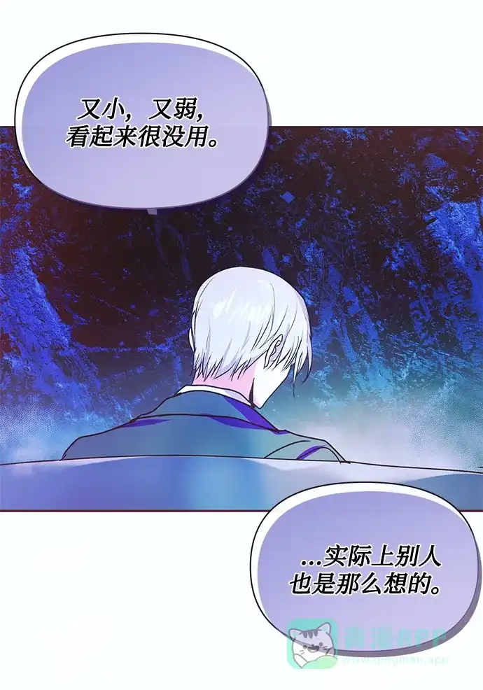 《大公殿下，这是个误会》第47话 第25页