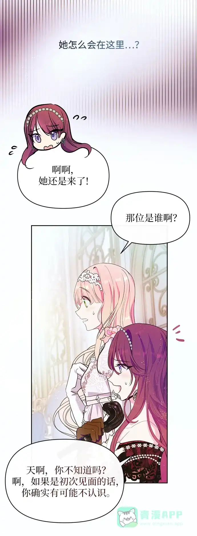 《大公殿下，这是个误会》第49话 第44页