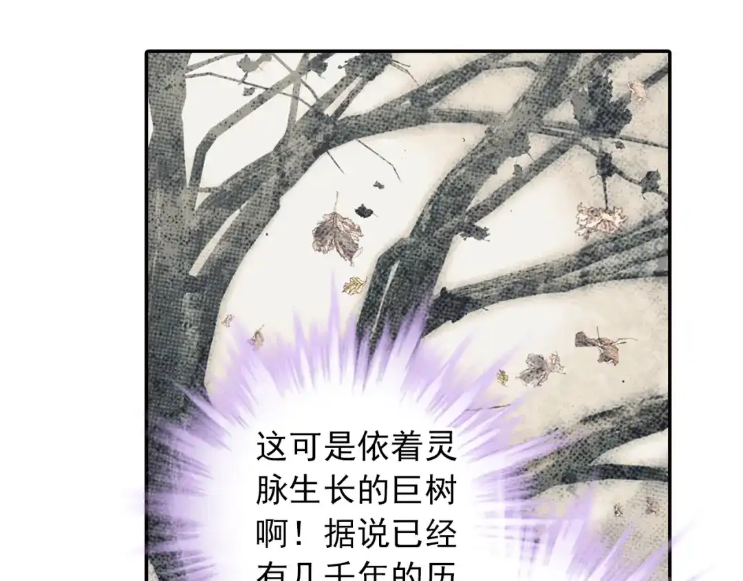 《大龟甲师》第12话 枯树重生（上） 第8页