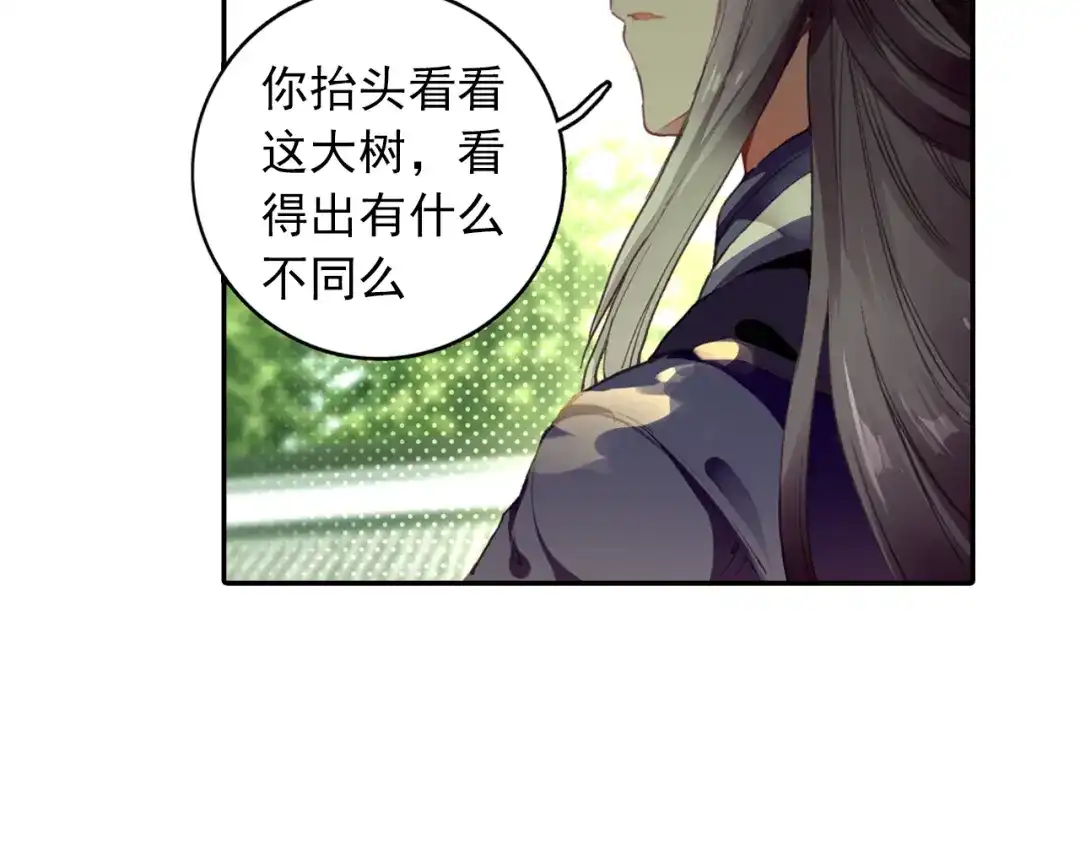 《大龟甲师》第12话 枯树重生（下） 第27页