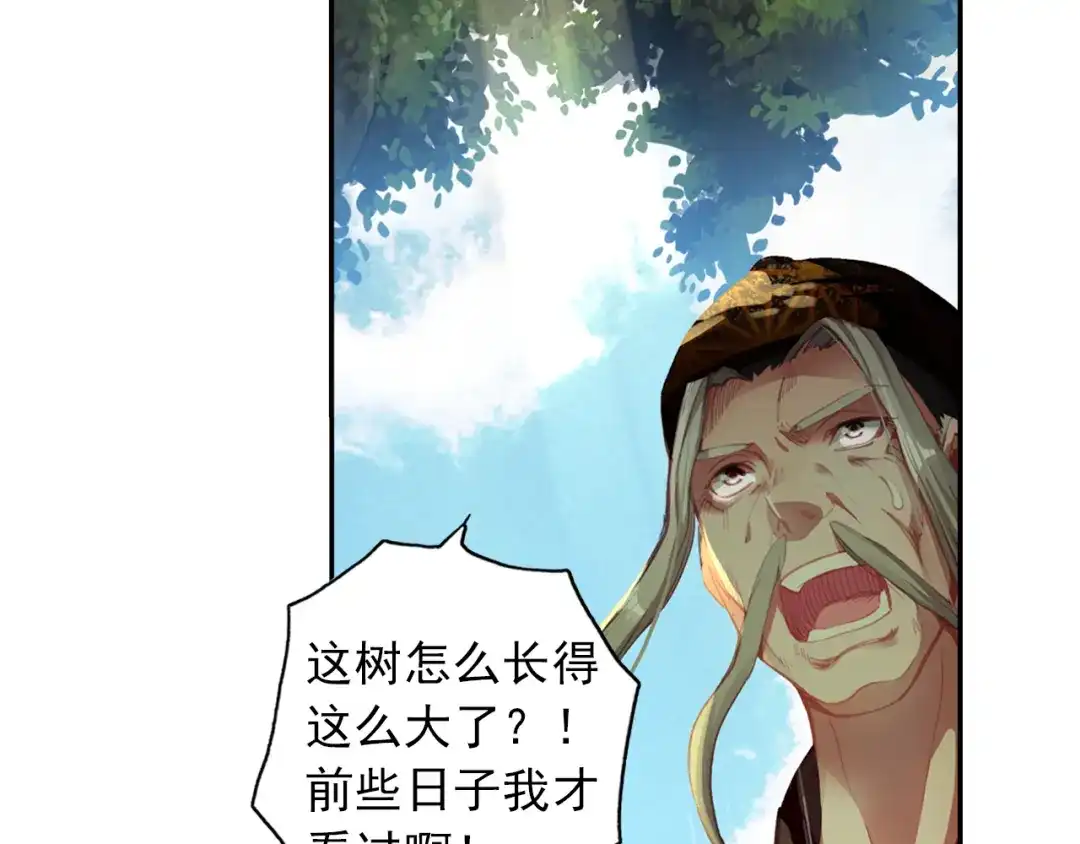 《大龟甲师》第12话 枯树重生（下） 第31页