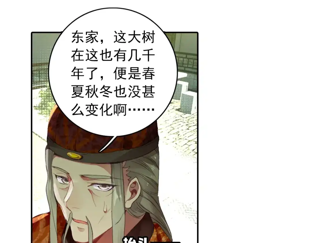 《大龟甲师》第12话 枯树重生（下） 第28页