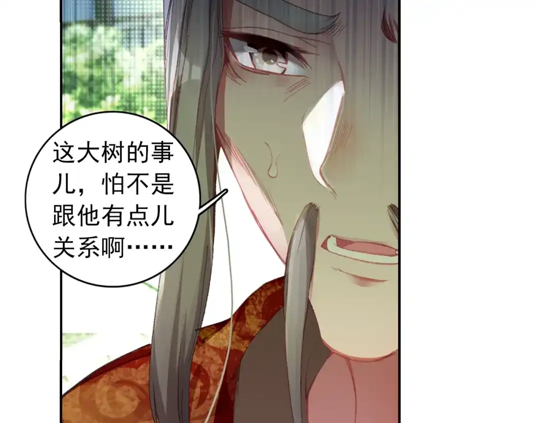 《大龟甲师》第12话 枯树重生（下） 第35页