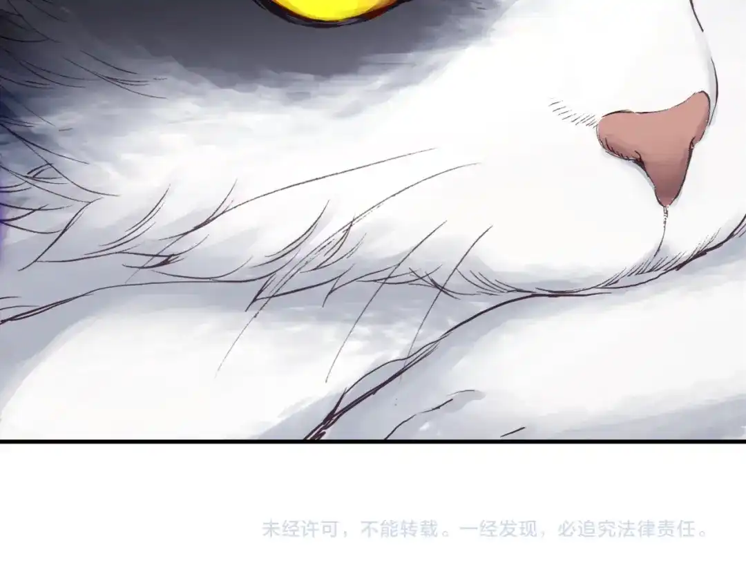 《大龟甲师》第13话 奸商（下） 第54页