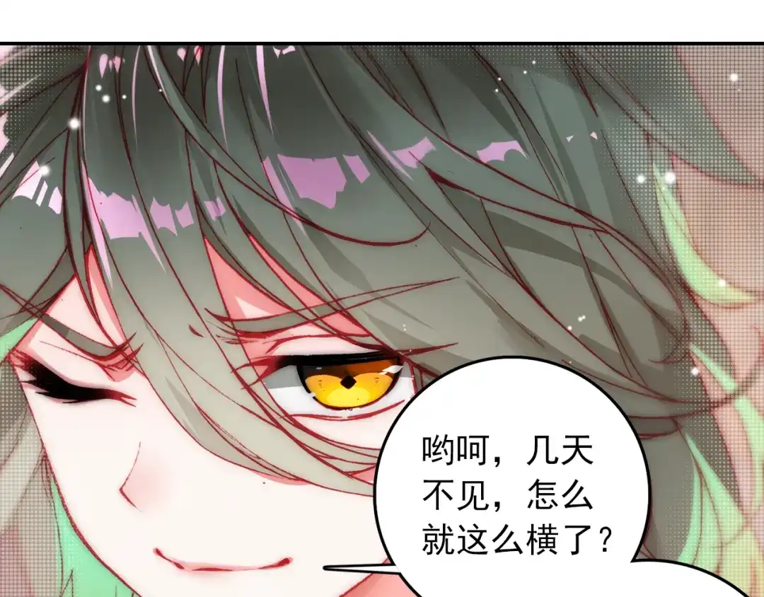 《大龟甲师》第2话 十大恶人之首（上） 第11页