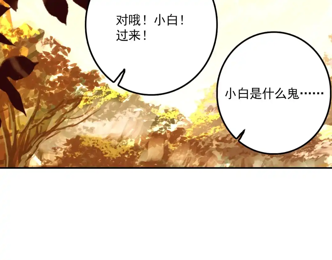《大龟甲师》第32话 灵兽小白（上） 第13页