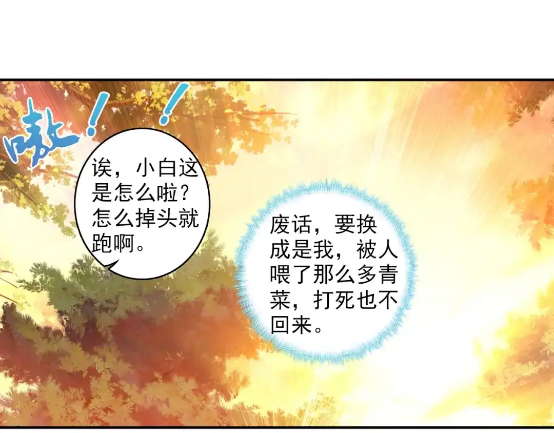 《大龟甲师》第45话 分别（下） 第27页