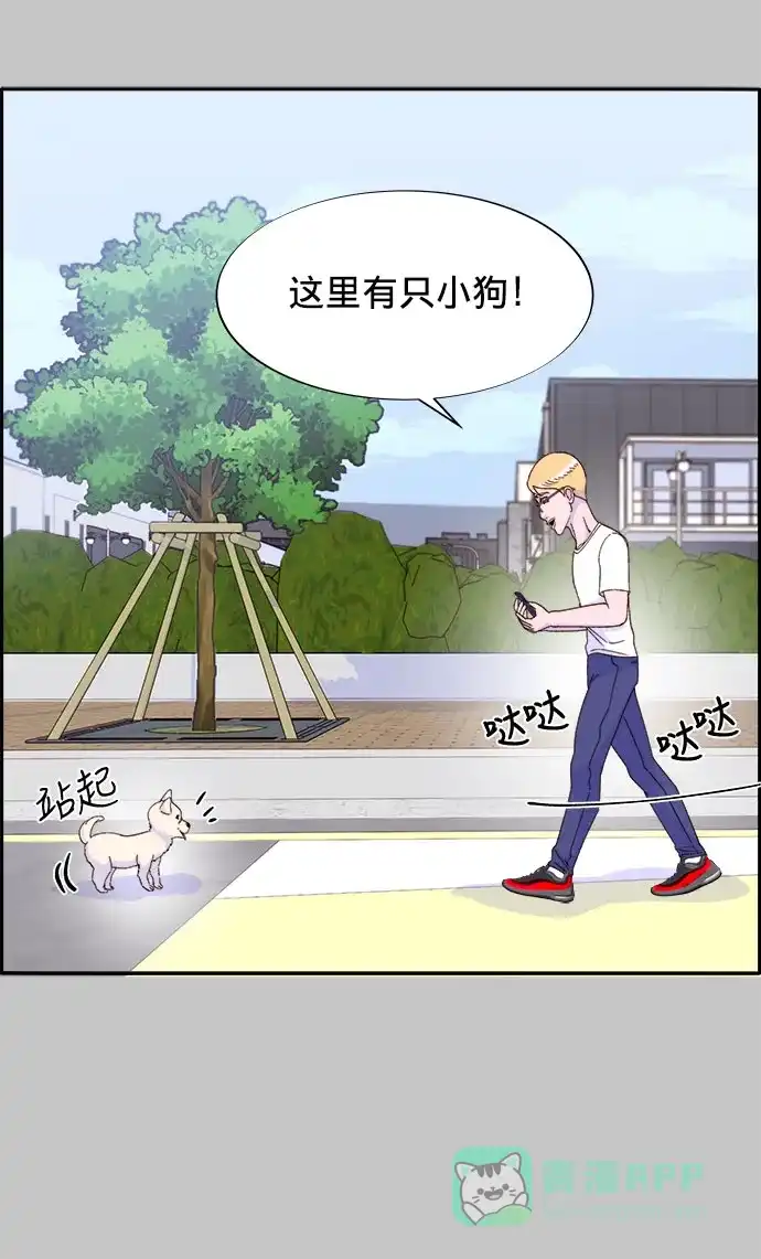 《带货网红》[第25话] 上升与跌落 第41页