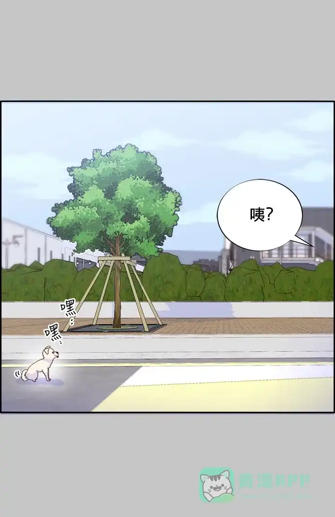 《带货网红》[第25话] 上升与跌落 第40页