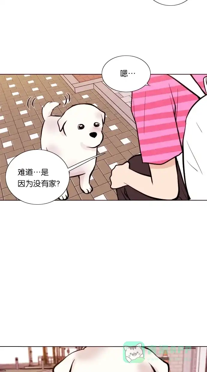 《代价贩卖机》[第11话] 猛虎（1） 第16页