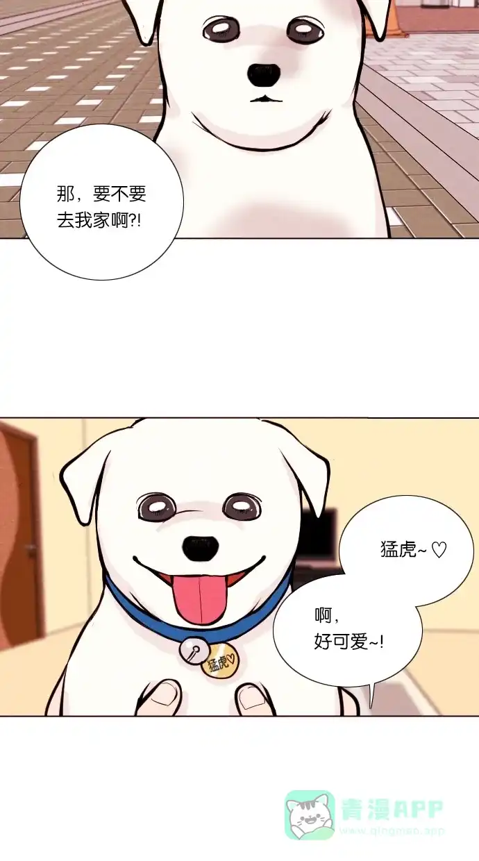 《代价贩卖机》[第11话] 猛虎（1） 第17页