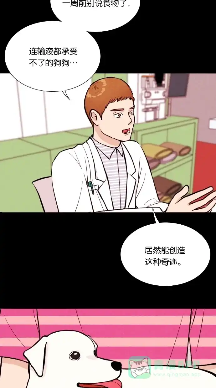 《代价贩卖机》[第13话] 猛虎（3） 第39页