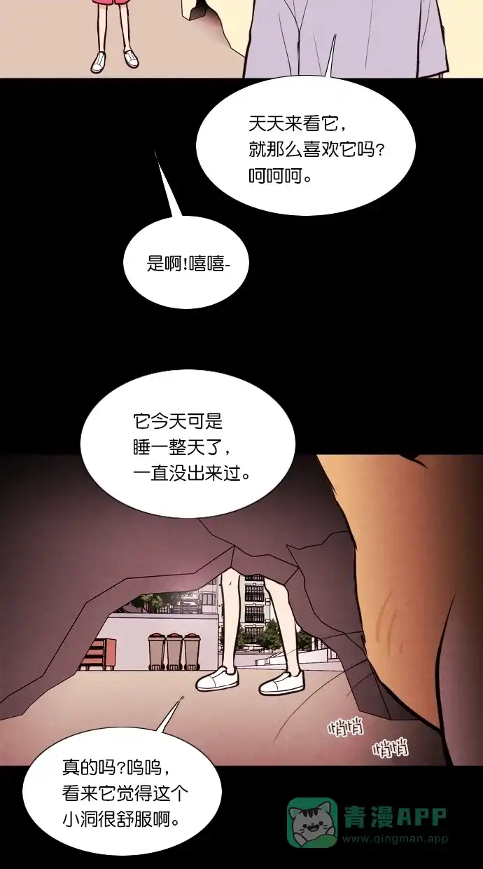 《代价贩卖机》[第71话] 流浪猫（1） 第4页