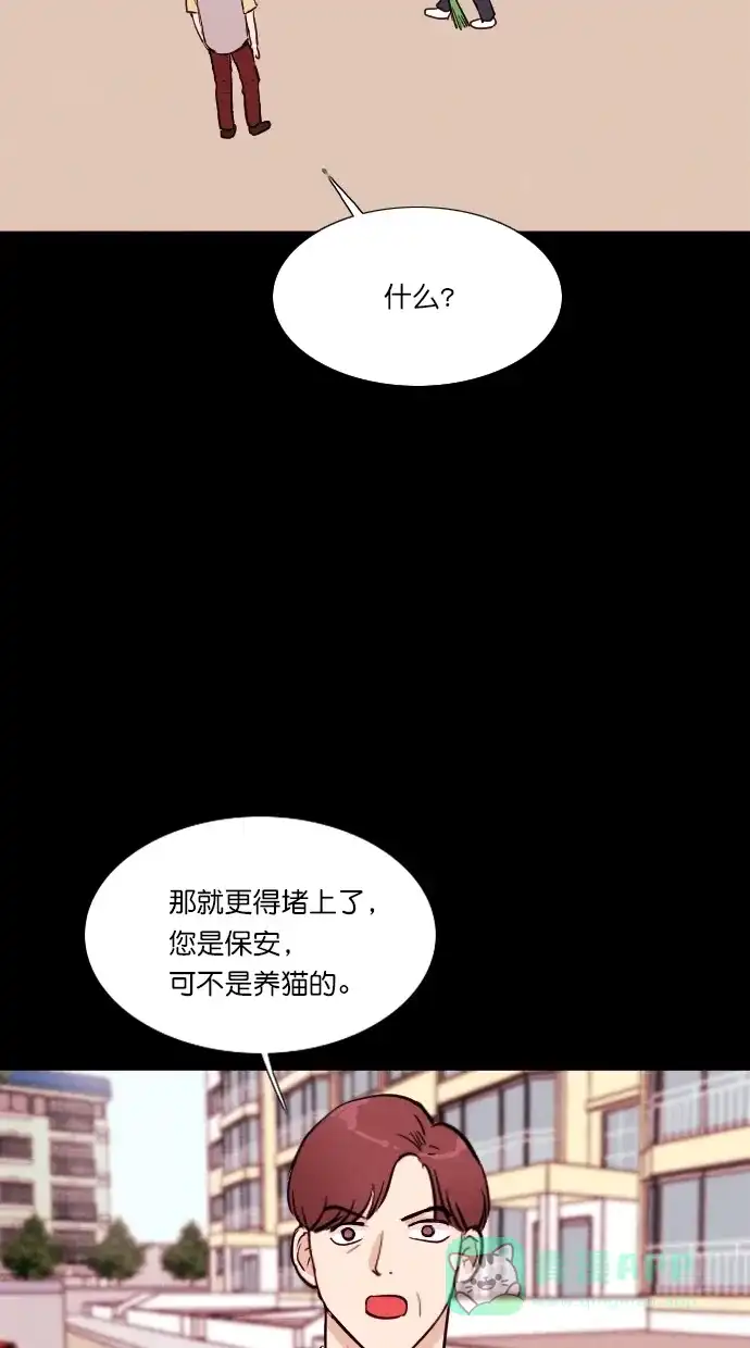 《代价贩卖机》[第71话] 流浪猫（1） 第49页