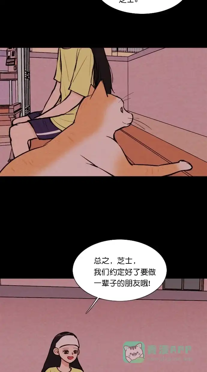 《代价贩卖机》[第71话] 流浪猫（1） 第25页
