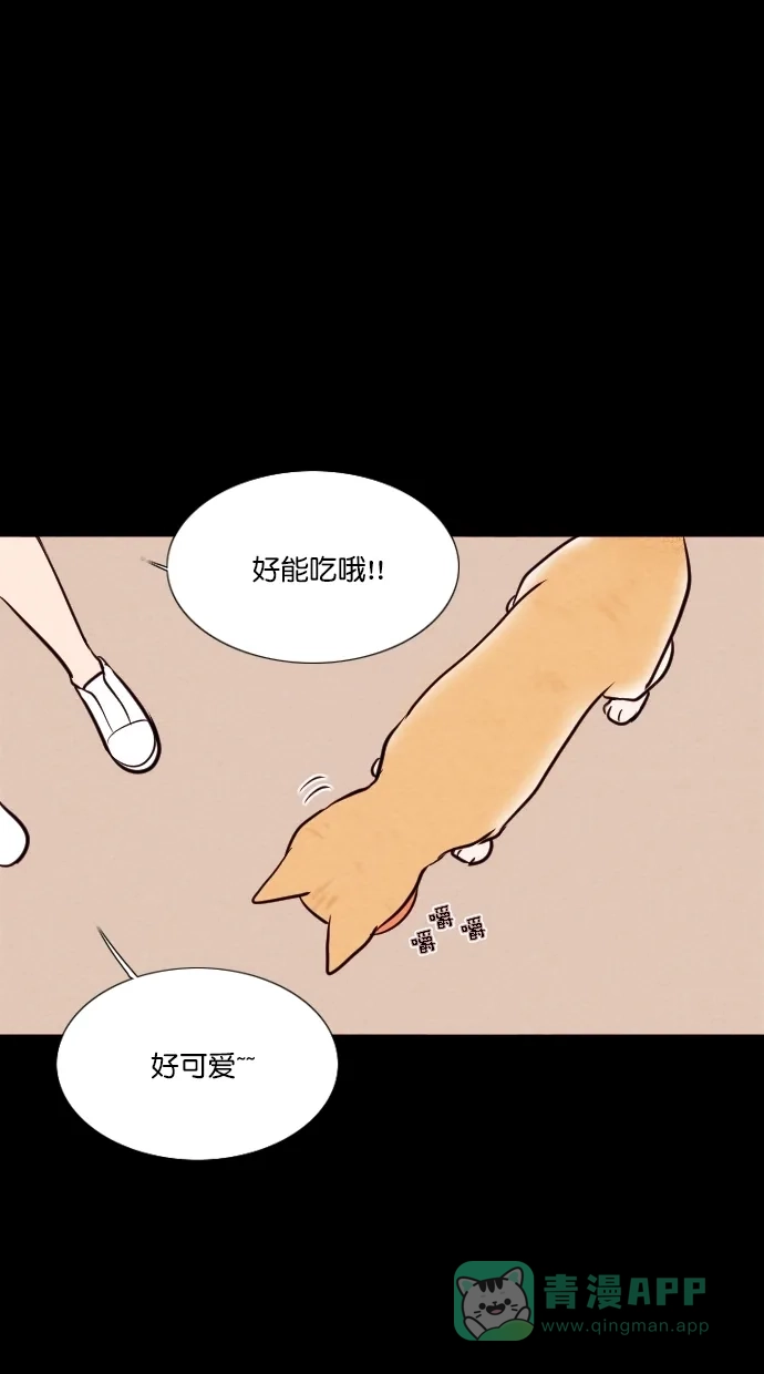 《代价贩卖机》[第71话] 流浪猫（1） 第9页