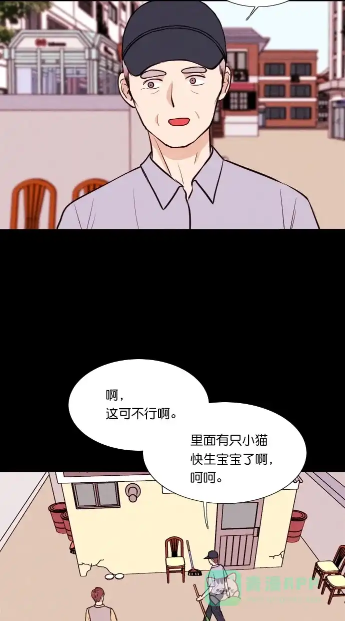 《代价贩卖机》[第71话] 流浪猫（1） 第48页