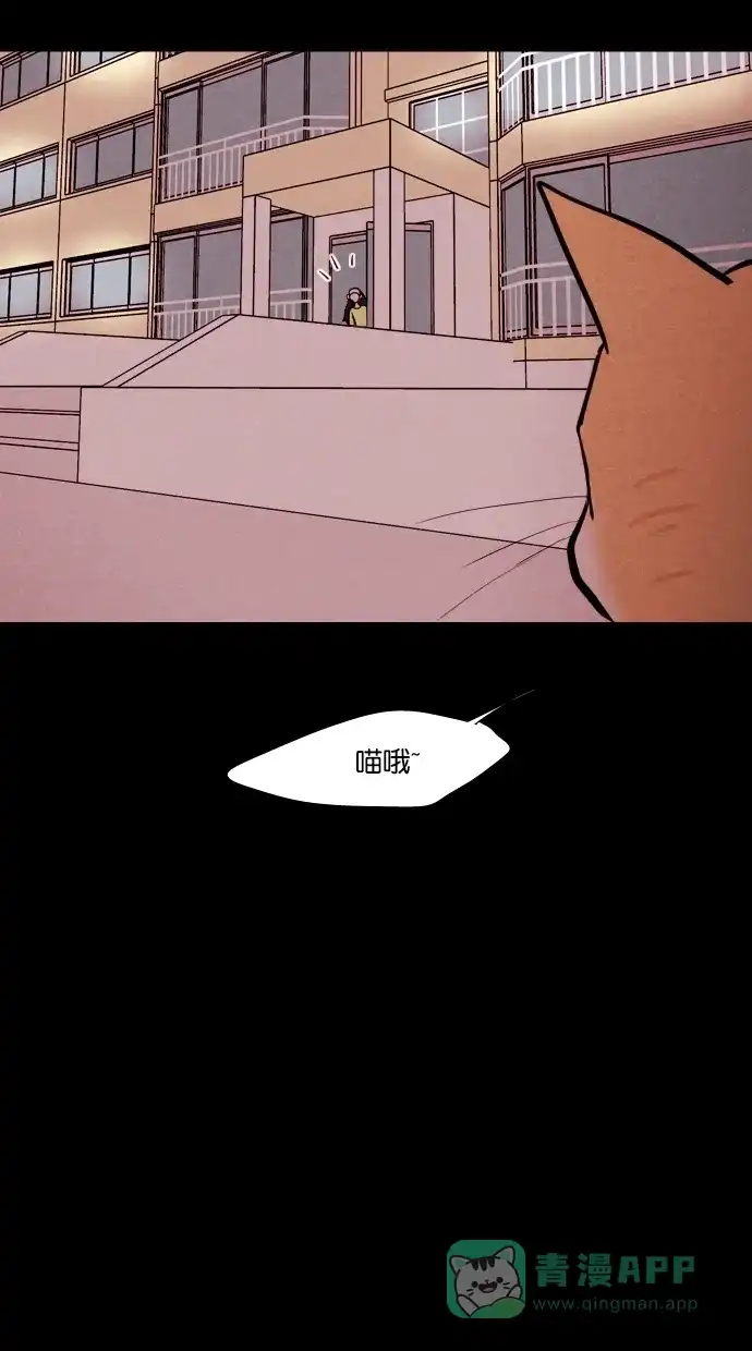《代价贩卖机》[第71话] 流浪猫（1） 第19页