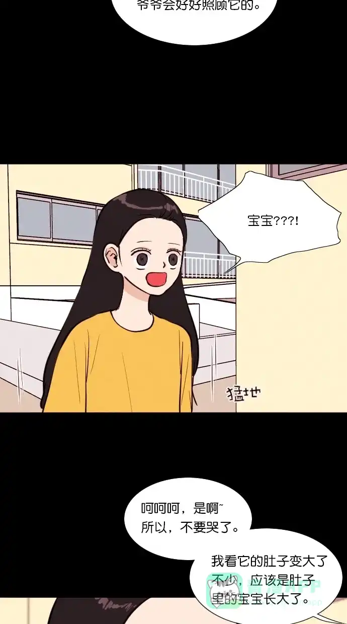 《代价贩卖机》[第71话] 流浪猫（1） 第33页