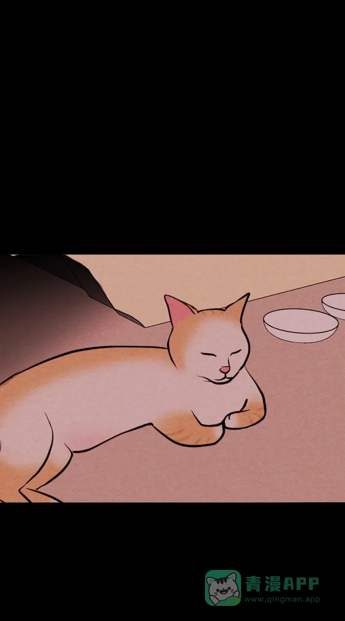 《代价贩卖机》[第71话] 流浪猫（1） 第17页