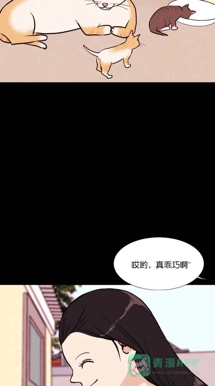 《代价贩卖机》[第72话] 流浪猫（2） 第25页