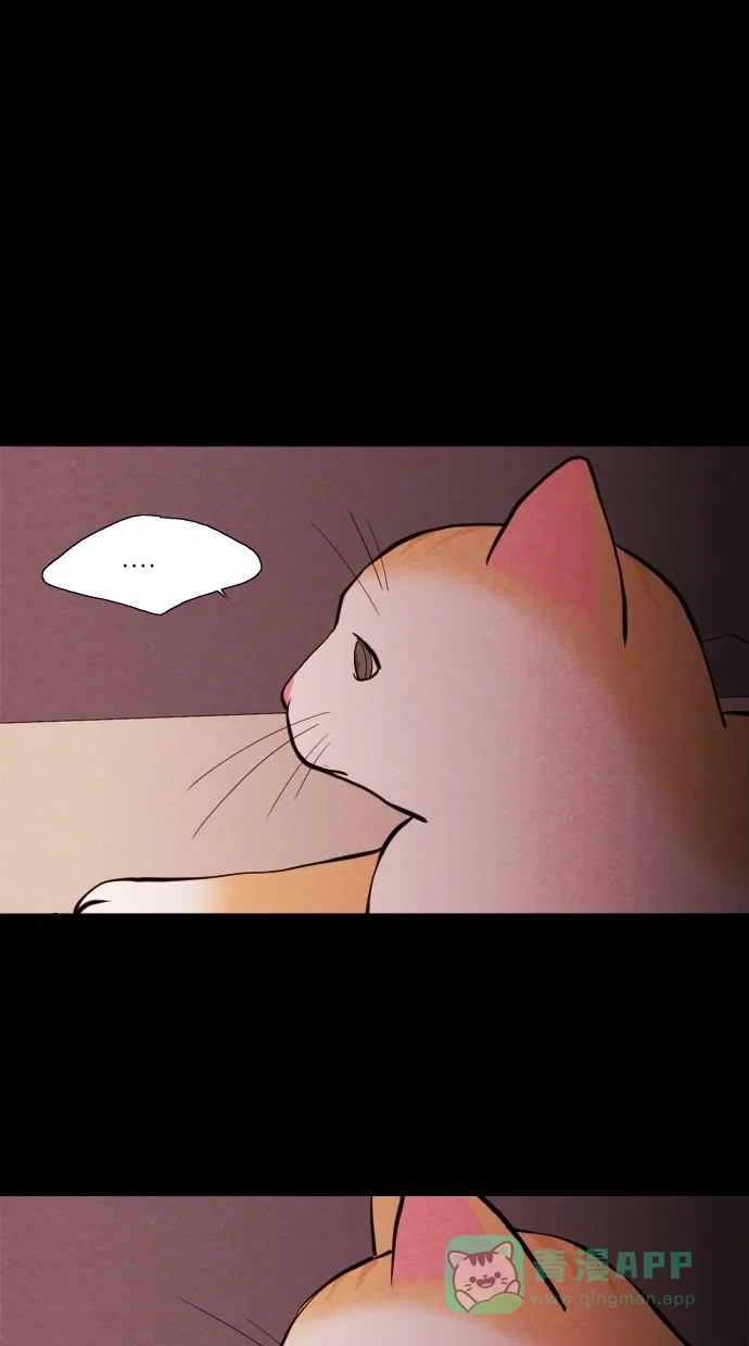 《代价贩卖机》[第72话] 流浪猫（2） 第3页
