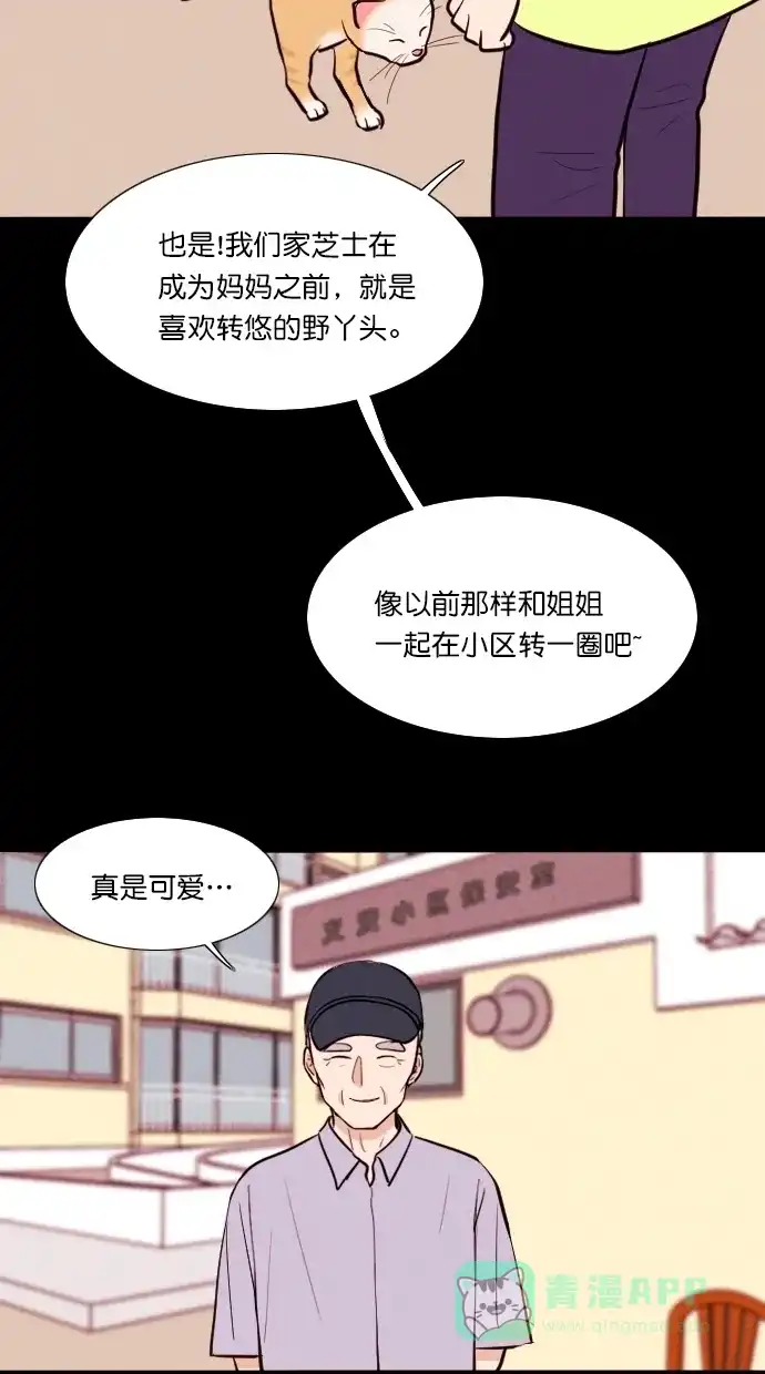 《代价贩卖机》[第72话] 流浪猫（2） 第33页