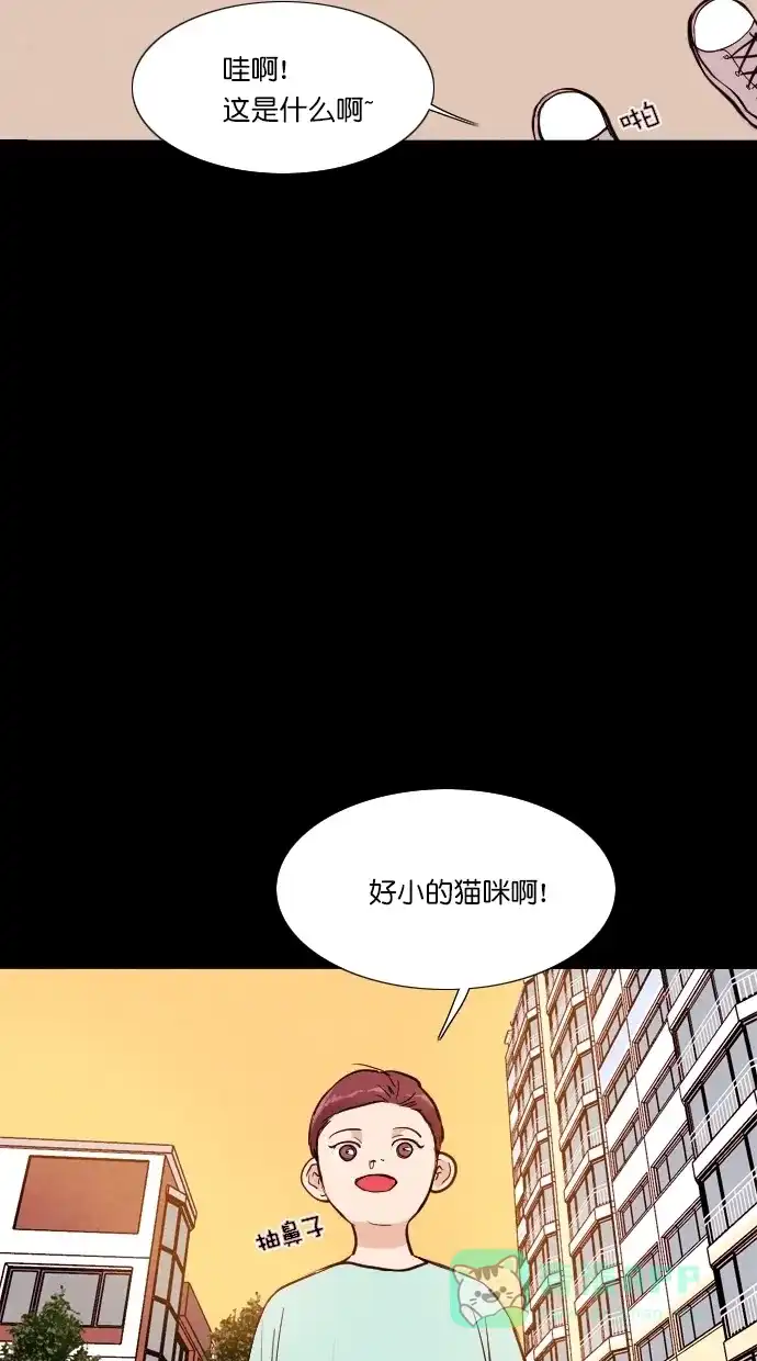 《代价贩卖机》[第72话] 流浪猫（2） 第39页