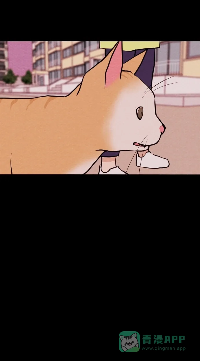 《代价贩卖机》[第73话] 流浪猫（3） 第13页