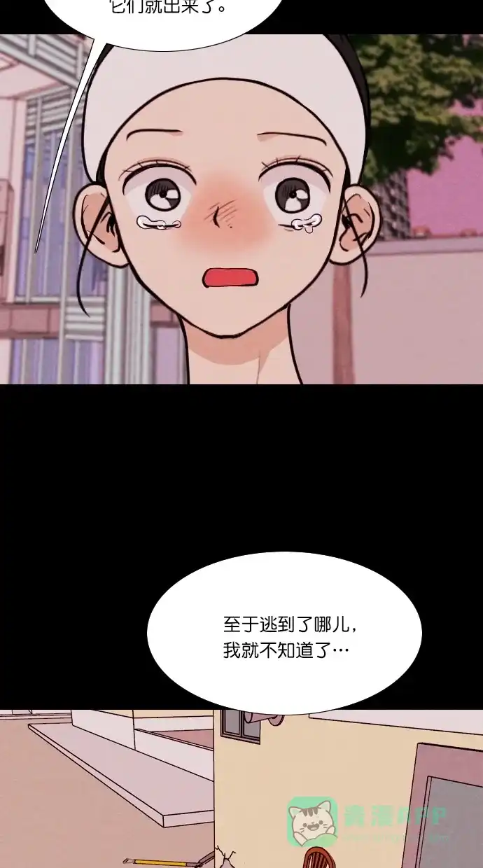 《代价贩卖机》[第73话] 流浪猫（3） 第17页